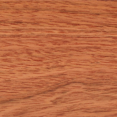  Jatoba